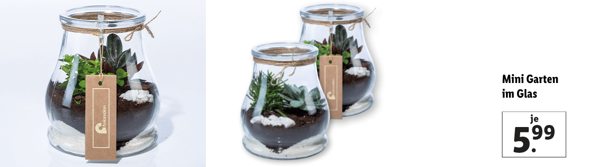  Mini Garten im Glas