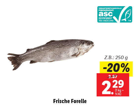 Frische Forelle 