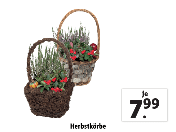 Herbstkörbe 