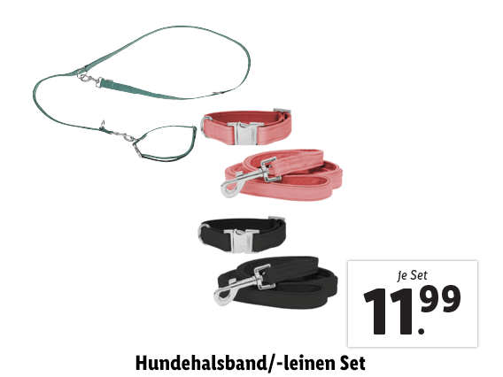 Hundehalsband/-leinen Set 