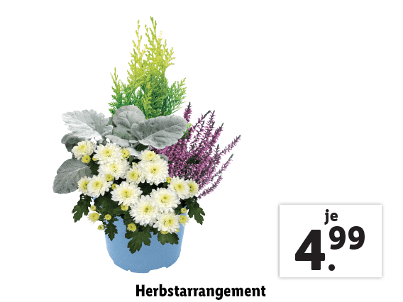 Herbstarrangement 