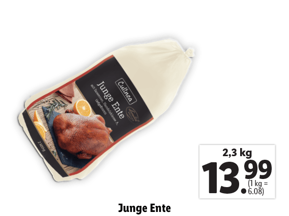 Junge Ente 