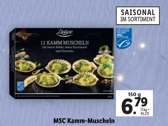 MSC Kamm-Muscheln