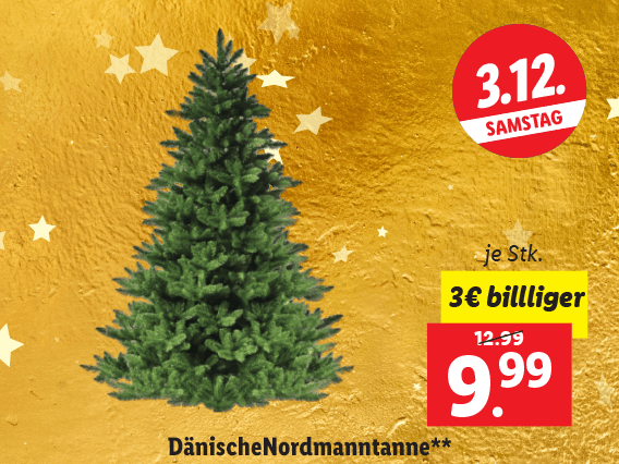 Dänische Nordmanntanne 
