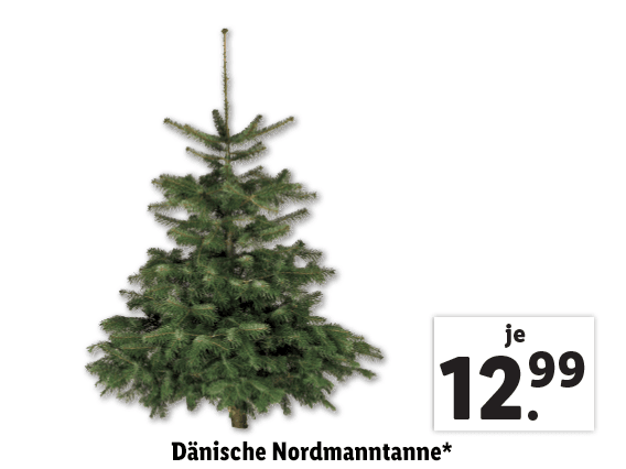 Dänische Nordmanntanne 