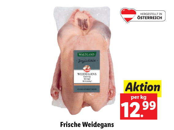 Waldland frische Weidegans