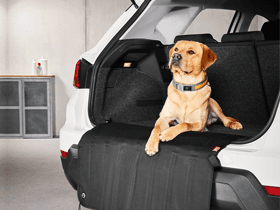 Für dein Auto