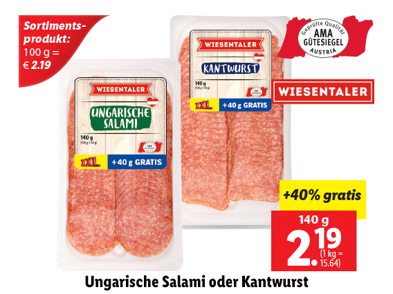 Ungarische Salami oder Kantwurst 