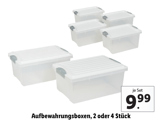 Aufbewahrungsboxen, 2 oder 4 Stück 