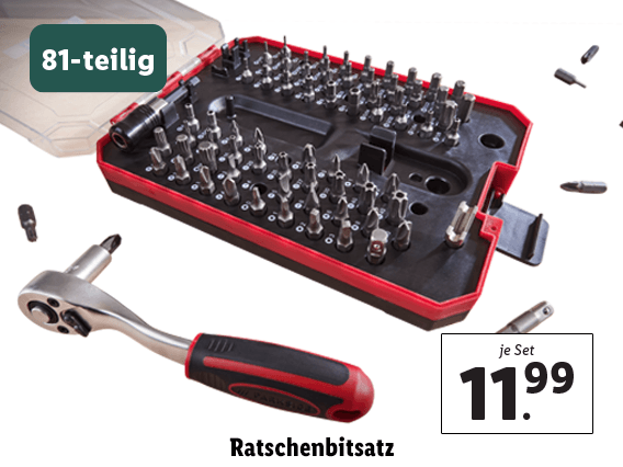 Ratschenbitsatz, 81-teilig