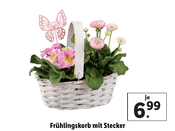  Frühlingskorb mit Stecker 