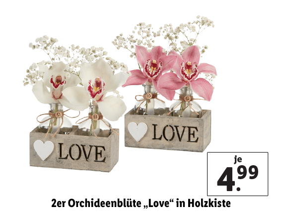 2er Orchideenblüte „Love“ in Holzkiste