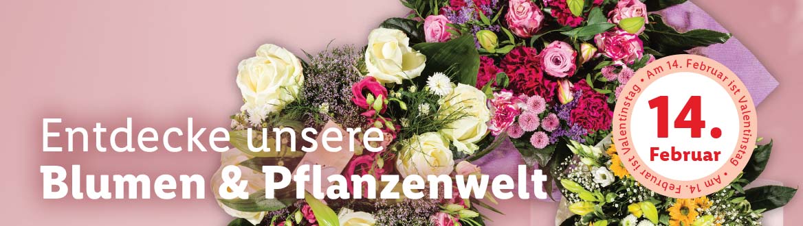  Blumen zum Valentinstag, gültig am Mo. + Di., 13. + 14.2.