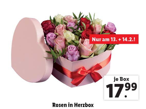  Rosen in Herzbox