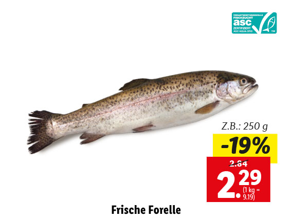  Frische Forelle