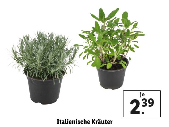  Italienische Kräuter