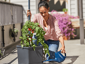 Alles für deinen Garten, gültig ab Montag, 6. März
