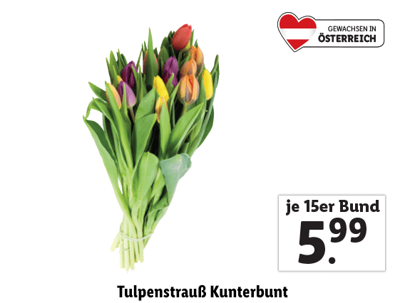  Tulpenstrauß Kunterbunt