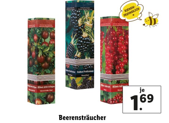  Beerensträucher
