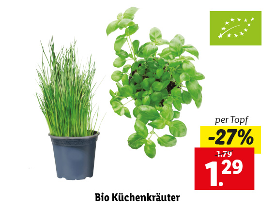Bio Küchenkräuter