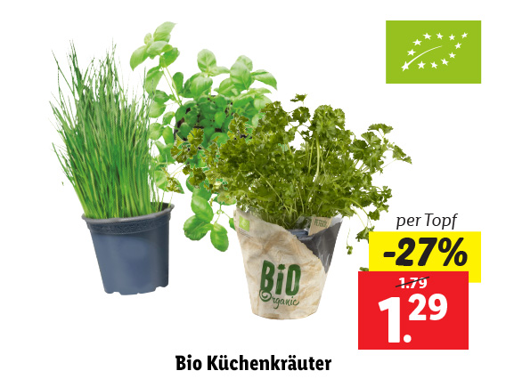  Bio Küchenkräuter