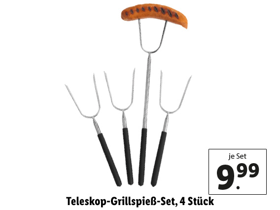  Teleskop-Grillspieß-Set, 4 Stück 