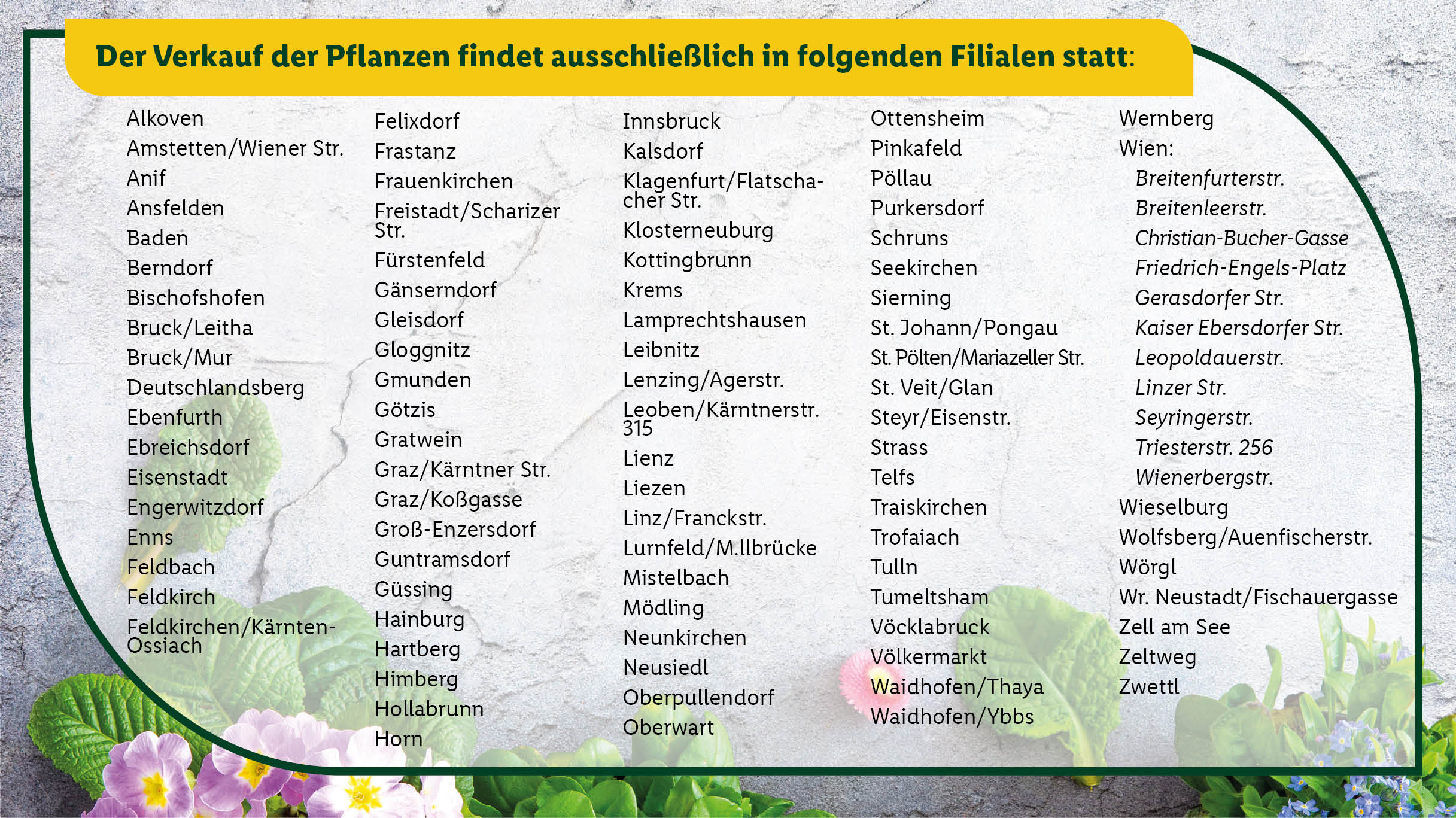 Das große Frühlingserwachen beginnt! 