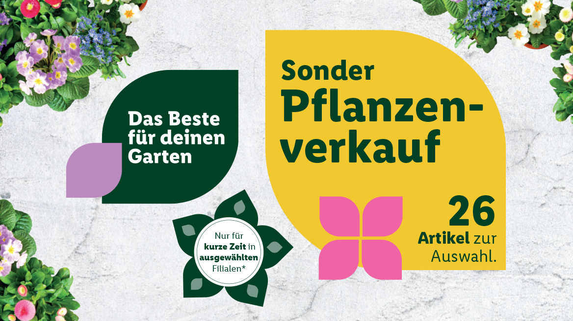 Das große Frühlingserwachen beginnt! 