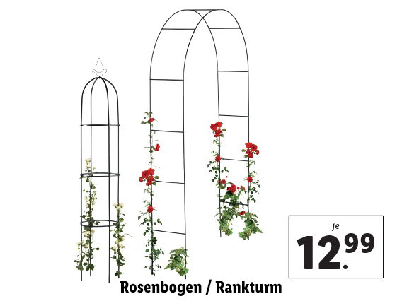 Rosenbogen/​Rankturm