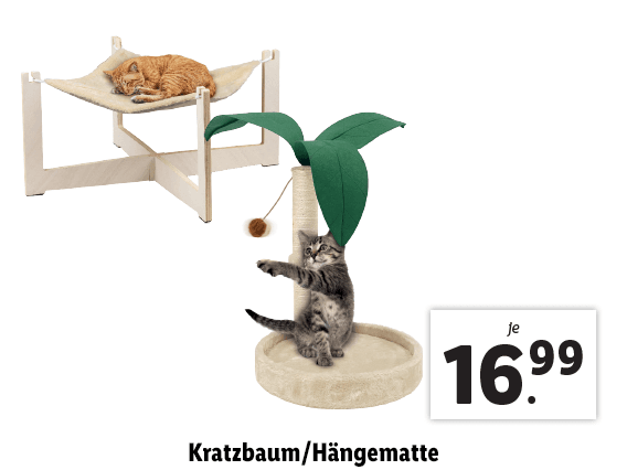  Kratzbaum/​Hängematte 