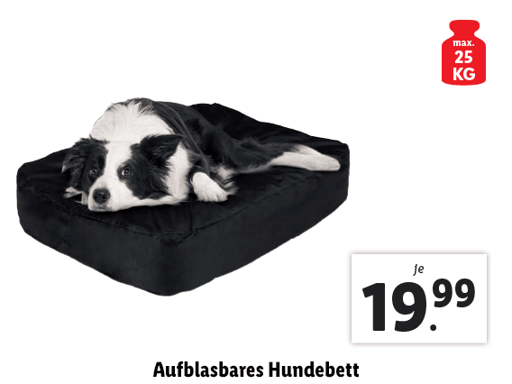 Aufblasbares Hundebett 