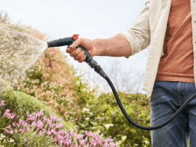  Das Beste für deinen Garten