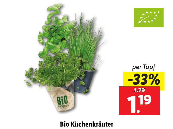 Bio Küchenkräuter