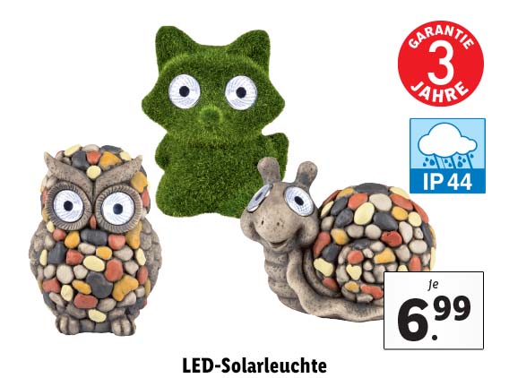  LED-Solarleuchte 
