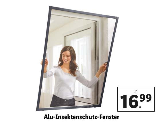 Alu-Insektenschutz-Fenster