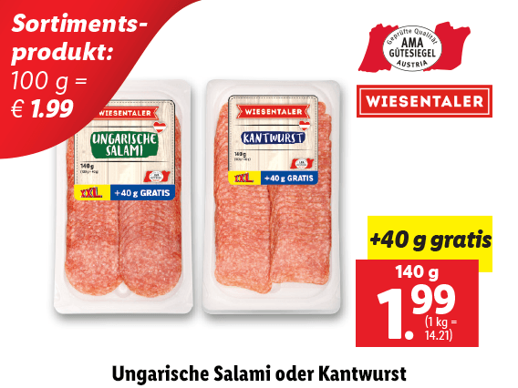 Ungarische Salami oder Kantwurst