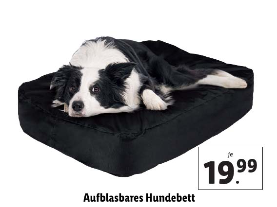  Aufblasbares Hundebett 