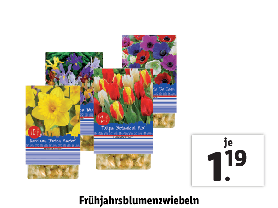 Frühjahrsblumenzwiebeln