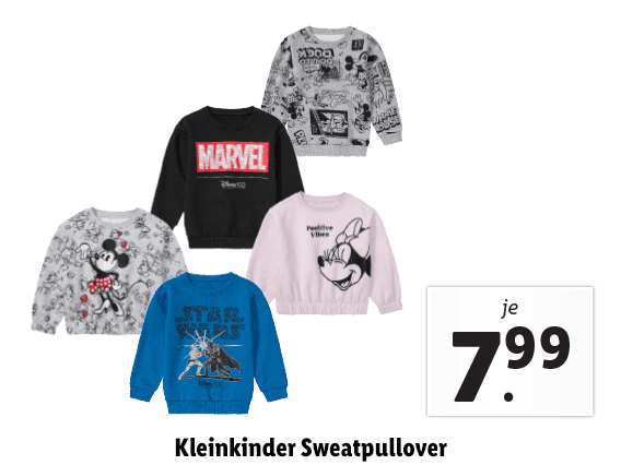 Kleinkinder Sweatpullover