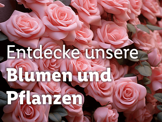 Blumen und Pflanzen