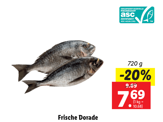 Frische Dorade