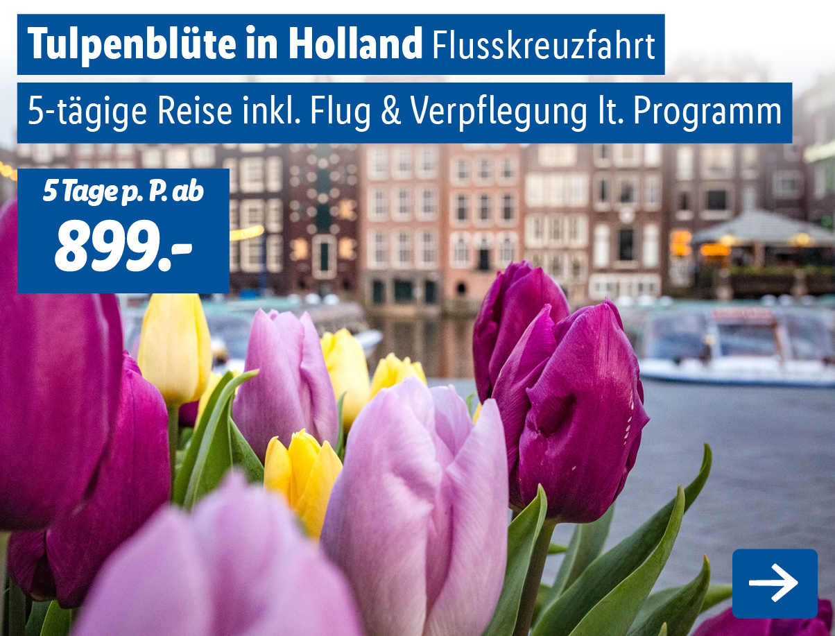 Tulpenblüte Holland