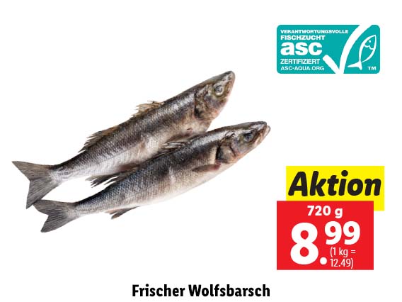 Frischer Wolfsbarsch