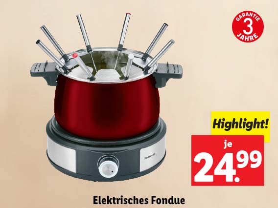 Elektrisches Fondue