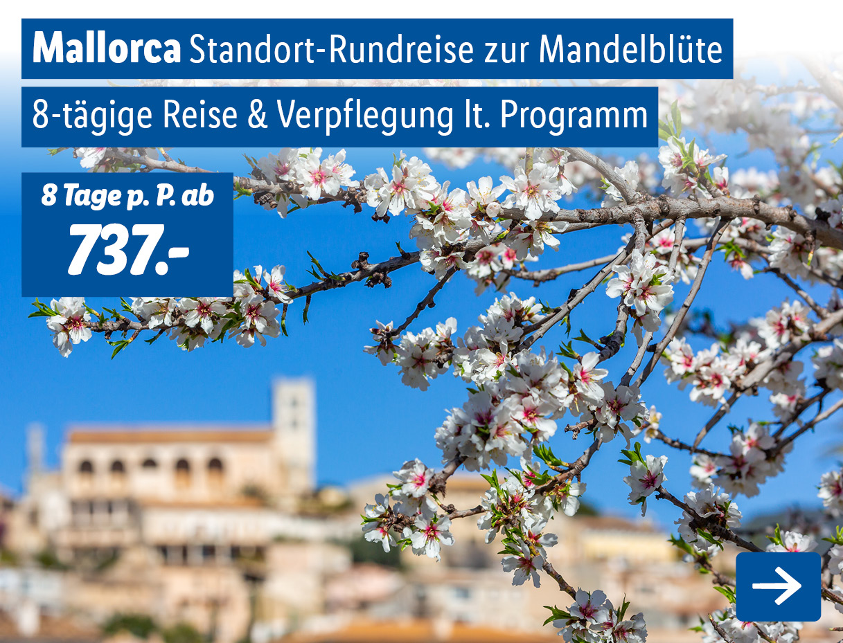 Mallorca - Standort-Rundreise zur Mandelblüte 