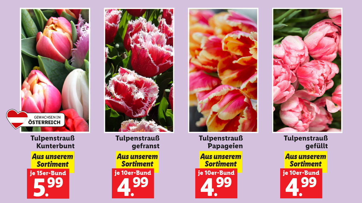 Tulpenwoche