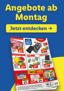 Online Flugblatt