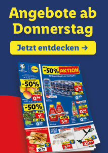 Online Flugblatt