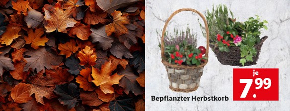 Blumen