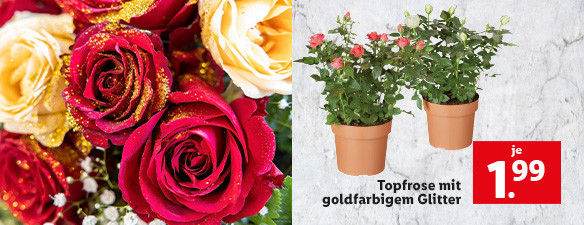 Blumen und Pflanzen